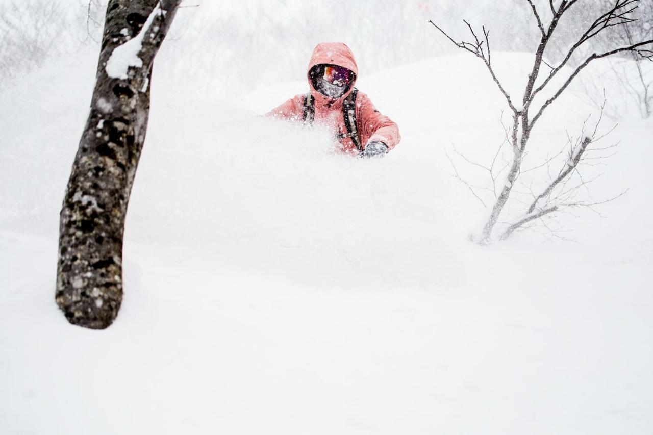 Hakuba Cortina Backpackers Vandrarhem Otari Exteriör bild